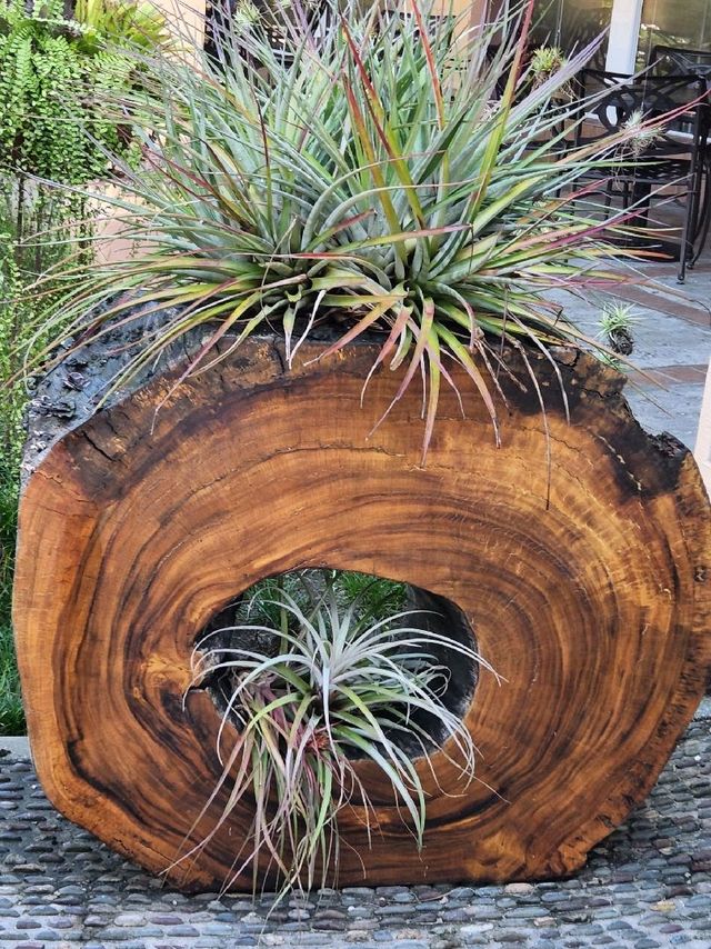 Bok Tower Gardens, Florida's hidden paradise Bok Tower Gardens, Florida's hidden paradise