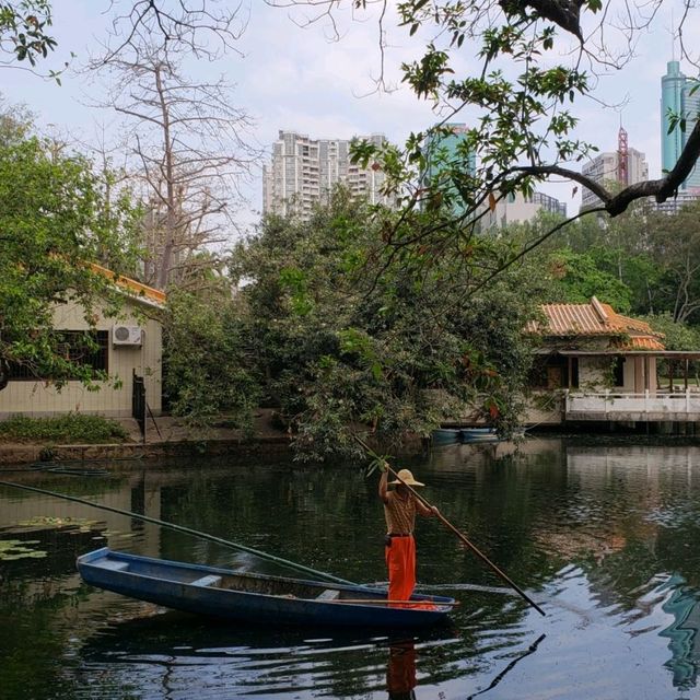 Beautiful Shenzhen Park 