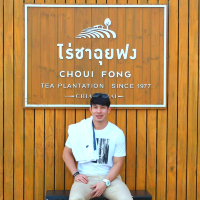 🌿จิบชา ในไร่อายุร้อยปีในตำนาน