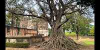 Sukhothai Historical Park