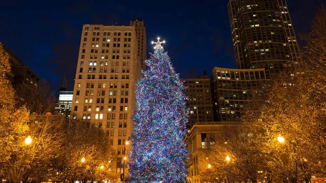 City of Chicago Christmas Tree | Millennium Park