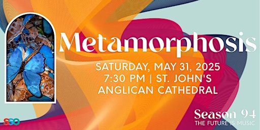 Metamorphosis | The Cathedral of St. John the Evangelist