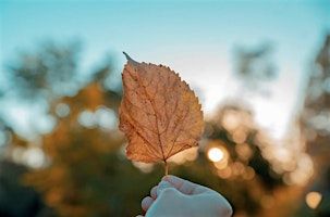 Autumn depth writing workshop - Hebden Bridge | Hebden Bridge Hostel