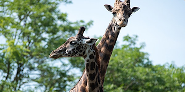 Wild Investigations (Grades 3-6) | Pittsburgh Zoo & Aquarium