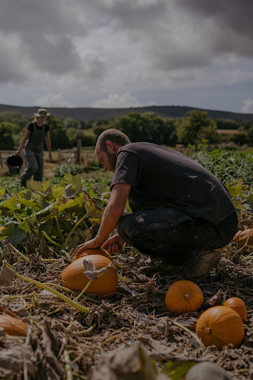 Autumn Equinox at My Little Farm | My Little Farm