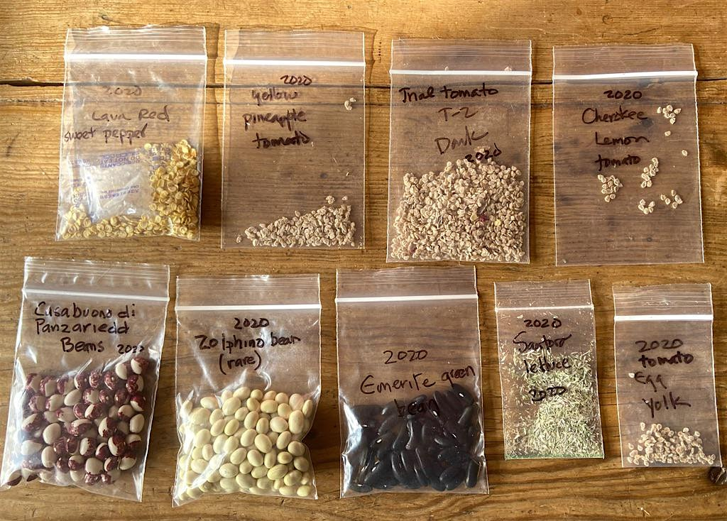 Seed Saving for Market Gardeners | 150 Oxen Pond Rd
