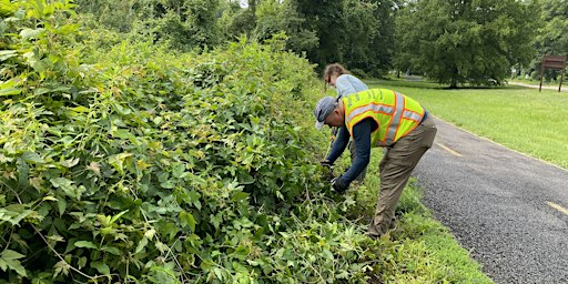 Invasive Vegetation and Trash Cleanup at Belle Haven Park | Belle Haven Park, Virginia