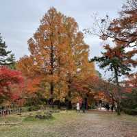 富山県　高岡古城公園