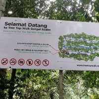 Tree Top Walk Sungai Sedim Kedah 🇲🇾