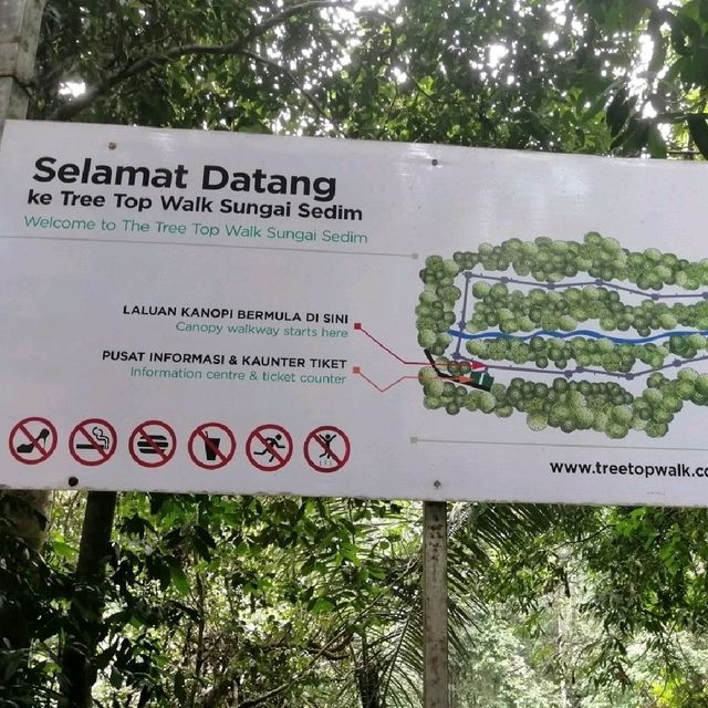 Tree Top Walk Sungai Sedim Kedah 🇲🇾