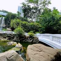香港公園🏞鬧市中尋找一點寧靜😌