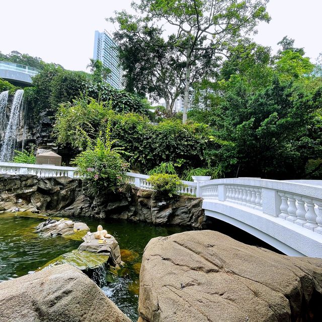 香港公園🏞鬧市中尋找一點寧靜😌