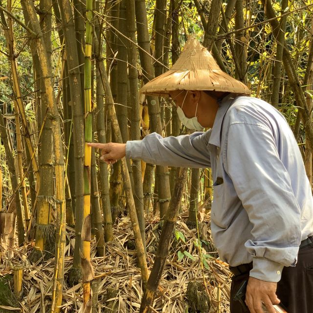 南投竹山｜青竹文化園區&隱竹別院🎋好像日本嵐山的竹林秘境