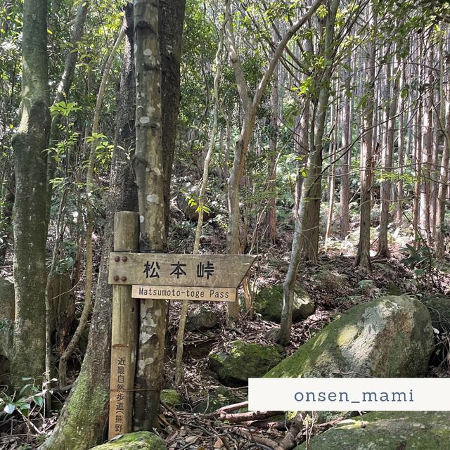 宿泊者は熊野古道の無料ツアーに参加できる⛰