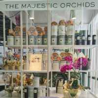 Afternoon tea @ The Majestic Hotel 