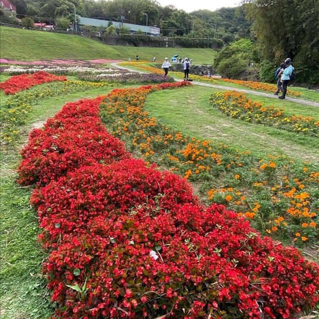 欣賞美景😍😍😍😍