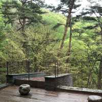 [제천] 포레스트 리솜