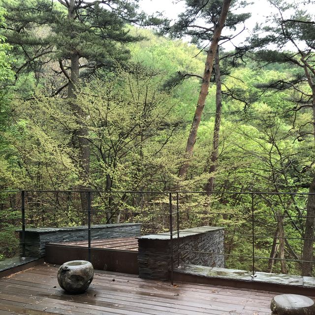[제천] 포레스트 리솜