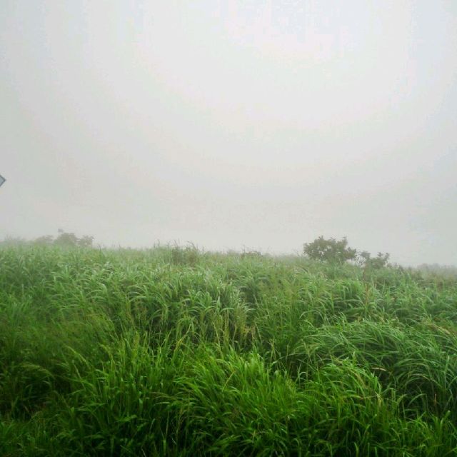 장흥 천관산 등산