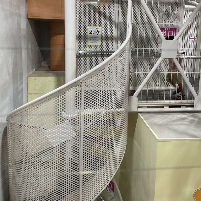 【横浜市】夏休みはここ！はまぎんこども宇宙科学館