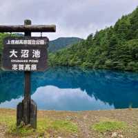 【長野】志賀高原の中の神秘的な群青の池【大沼池】