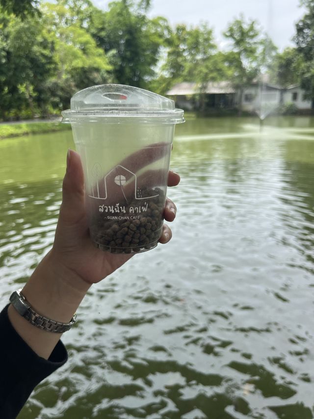 🌱☕️ สวนฉัน คาเฟ่ 🌳🏡