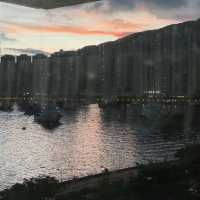 荃灣|海景放題。極上千島櫻海景放題