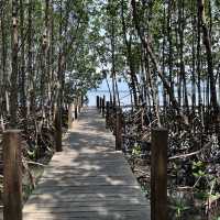 ศูนย์ศึกษาธรรมชาติป่าชายเลยอ่าวคุ้งกระเบน