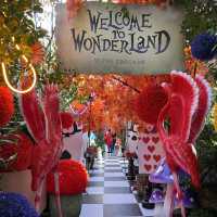Down the Rabbit Hole - The Grounds Alexandria