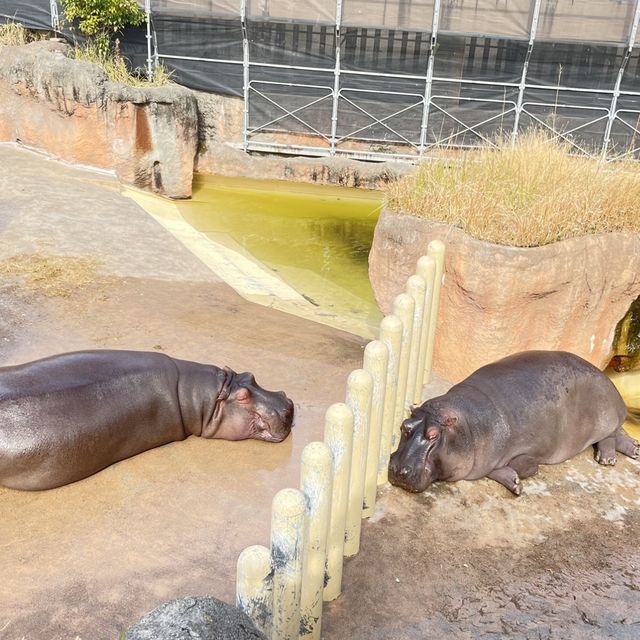 平川動物公園【鹿児島県/鹿児島市】