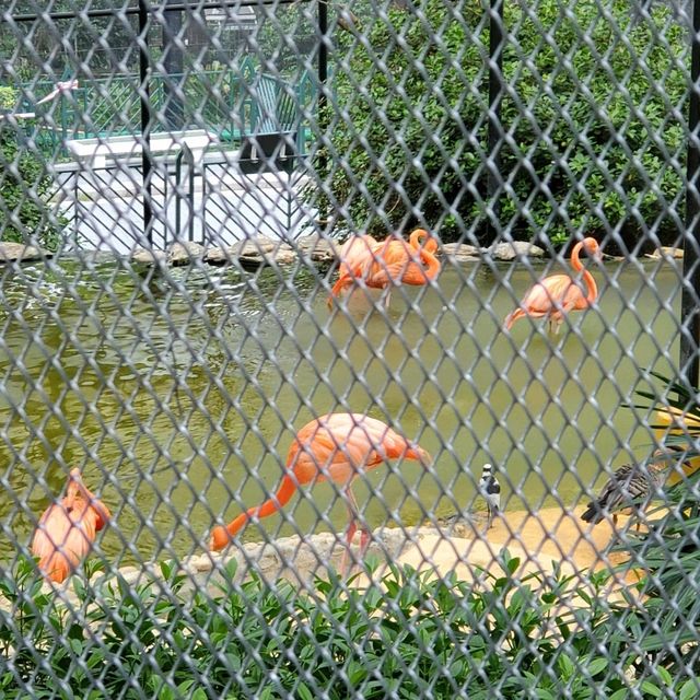 香港動植物公園