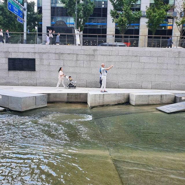 도심속의 자연~ 청계광장 피크닉♡