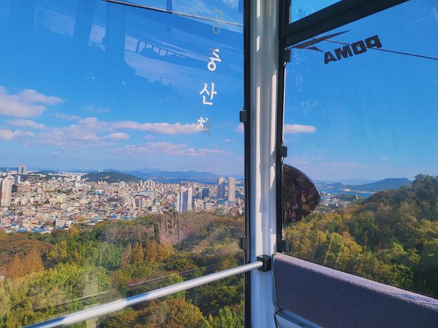 목포 전망대 💙 피크닉 명소