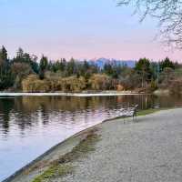 Lost Lagoon No Longer. 