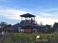 ดื่มกาแฟ ชมดอกไม้ ดูค้างคาว@Wood House เขาฉกรรจ์
