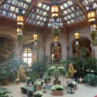 Biltmore in Ashville, NC