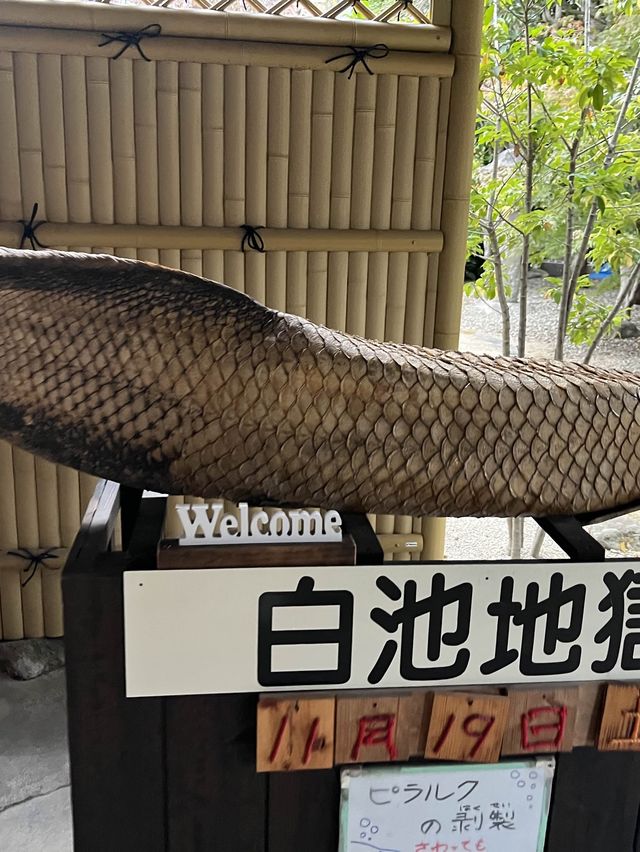 大分県の景色