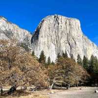 View From Yosemite Valley Floor