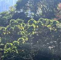 獅子山，香港地標