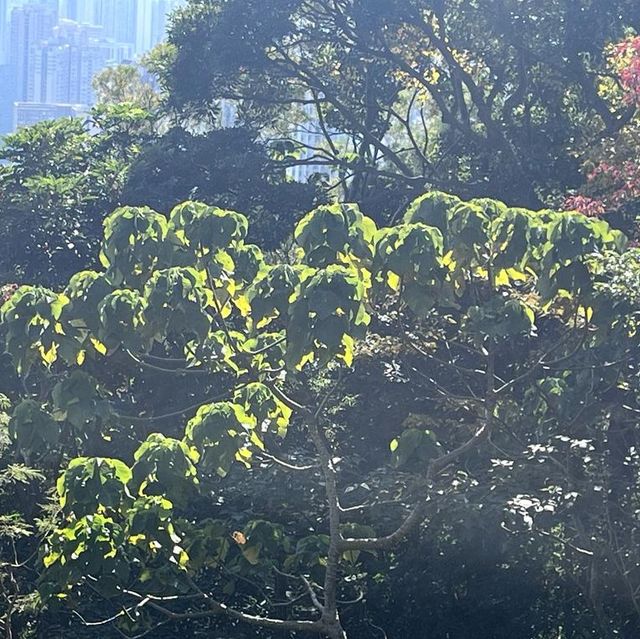 獅子山，香港地標