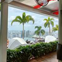 Stunning Skyline views at Spago!