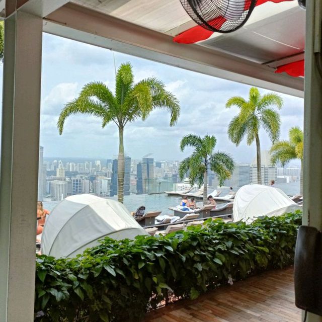 Stunning Skyline views at Spago!