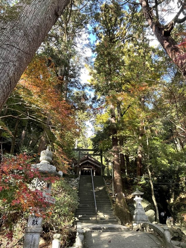 【福岡】九州のお伊勢さん