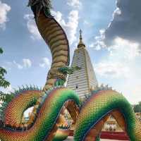 วัดพระธาตุหนองบัว