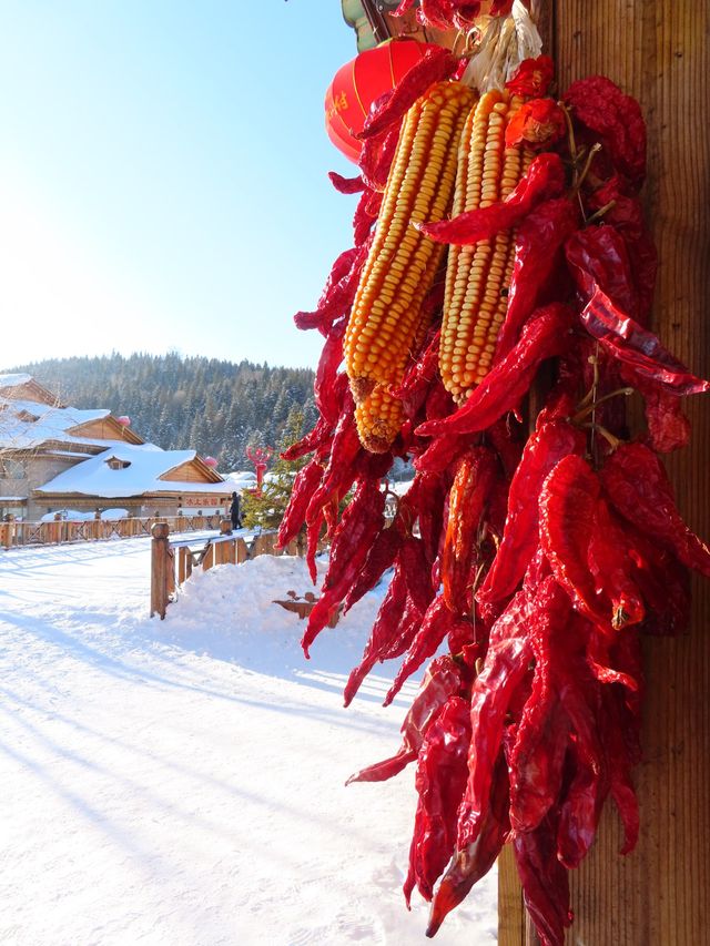 SNOW-COVERED VILLAGE