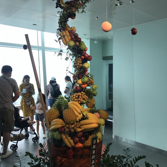 從高處遠眺台北迷你房屋，尋找藏身台北的秘密-101眺望台