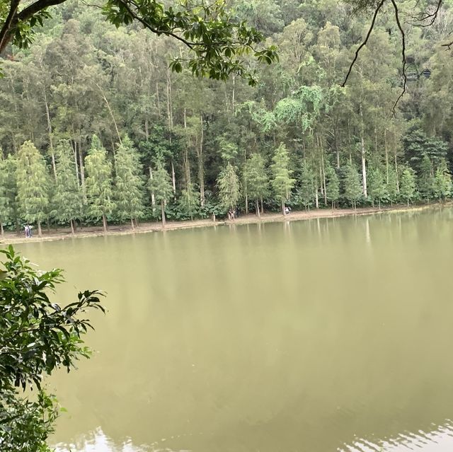 粉嶺流水響