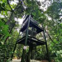 MacRitchie Reservoir