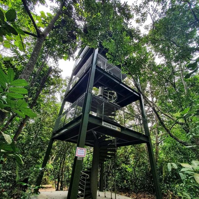 MacRitchie Reservoir