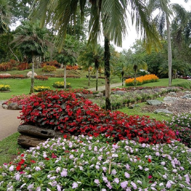 สวนแม่ฟ้าหลวง @ดอยตุงเชียงราย